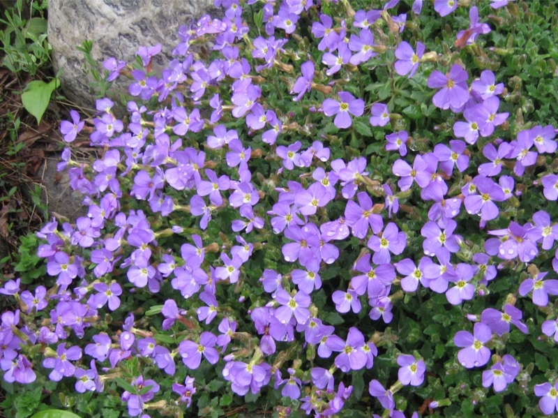 f:id:atarou:20110522192444j:image