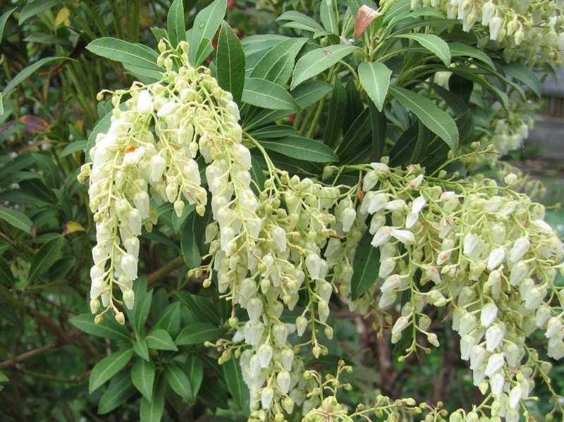 f:id:atarou:20110522192858j:image