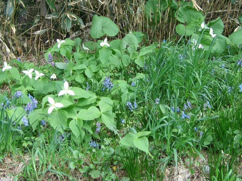 f:id:atarou:20110523065229j:image