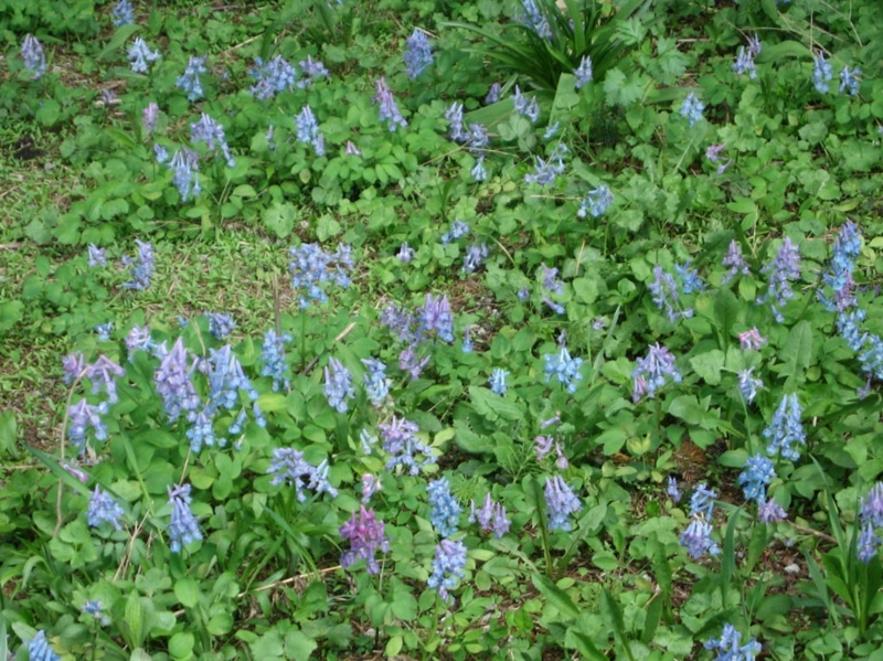 f:id:atarou:20110523070427j:image