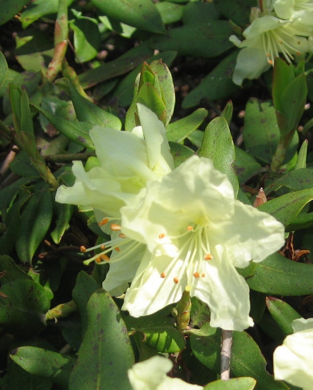 f:id:atarou:20110531210758j:image