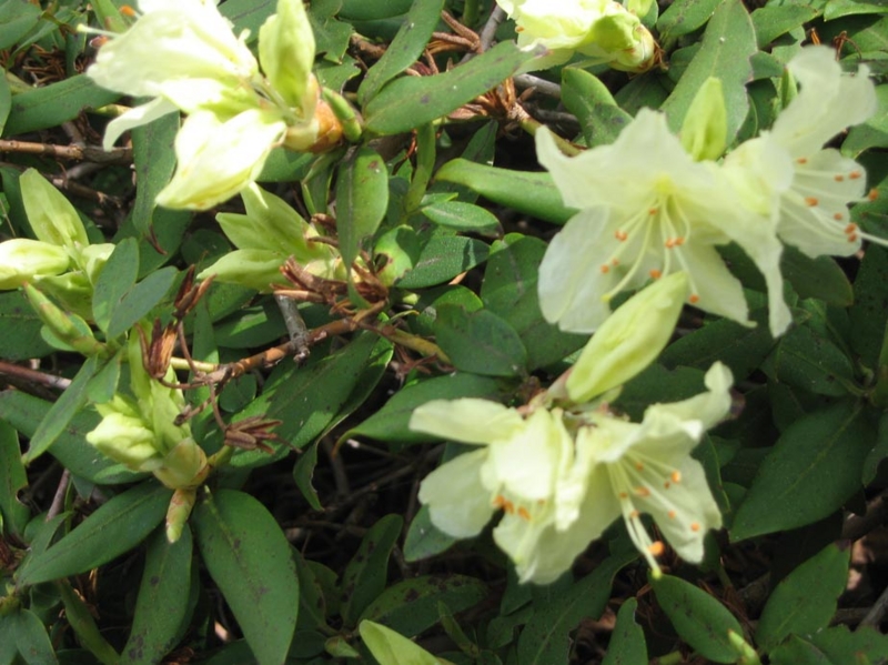 f:id:atarou:20110531211902j:image