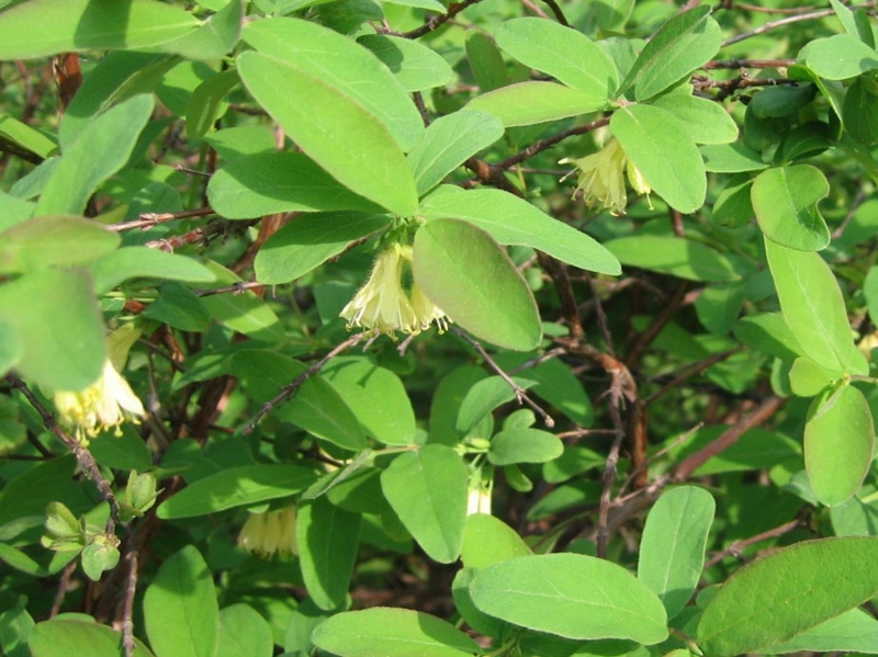 f:id:atarou:20110601061902j:image