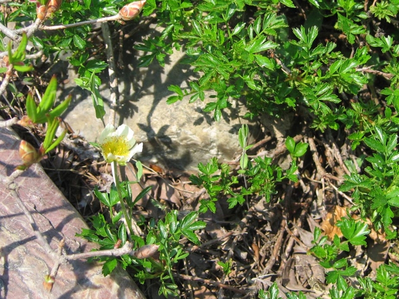 f:id:atarou:20110601061904j:image