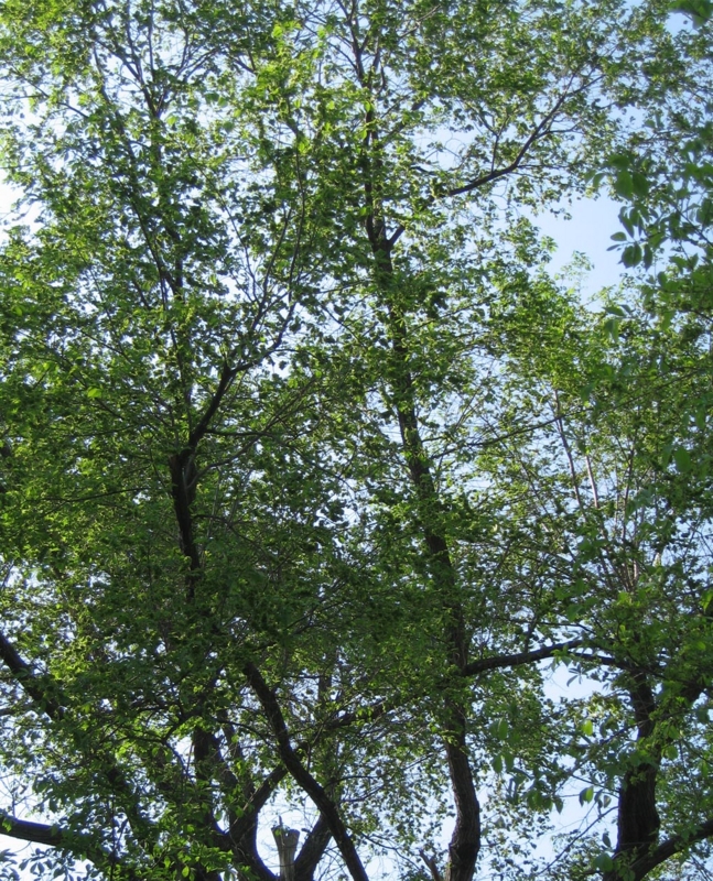 f:id:atarou:20110601064421j:image