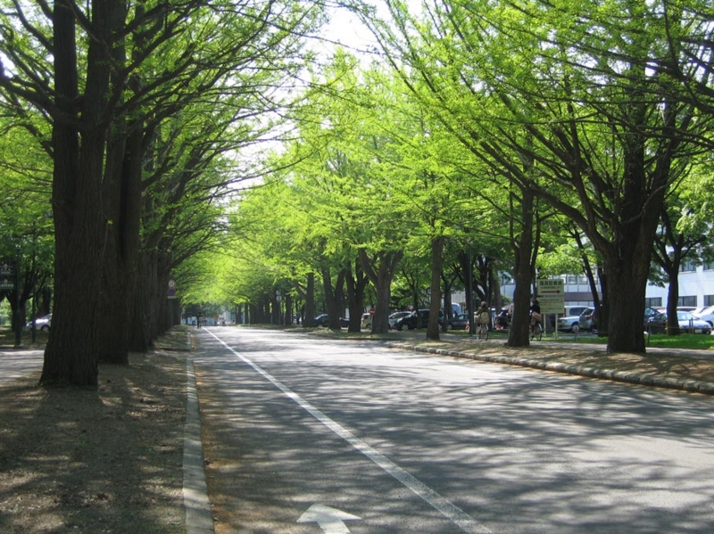 f:id:atarou:20110601064426j:image