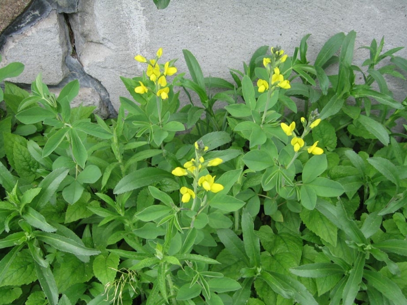 f:id:atarou:20110604061055j:image