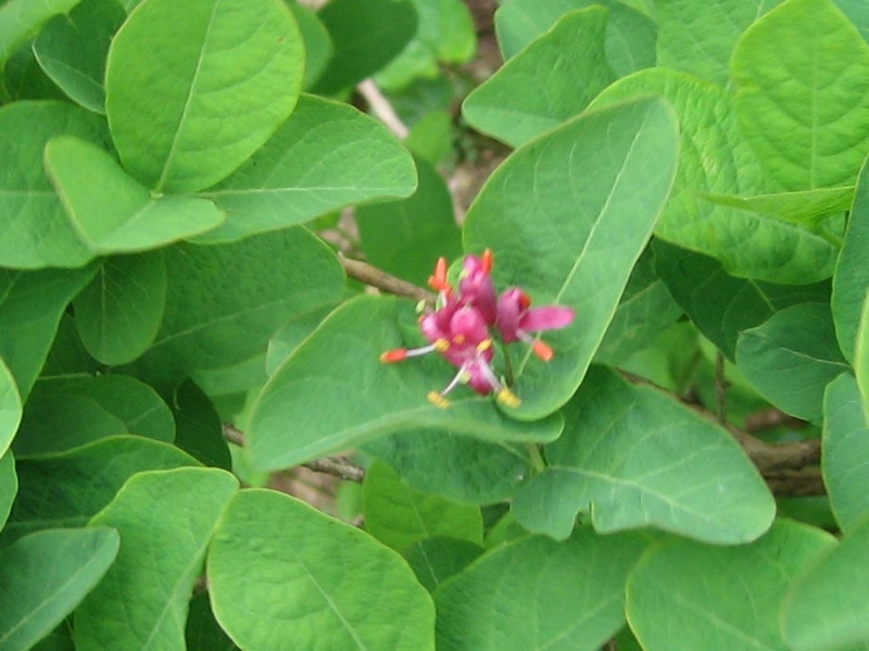 f:id:atarou:20110604195249j:image