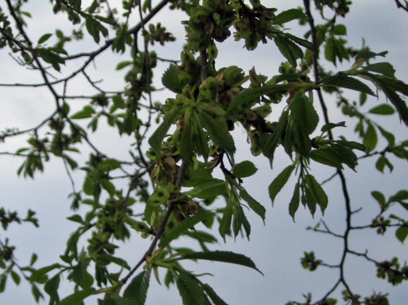 f:id:atarou:20110605062921j:image