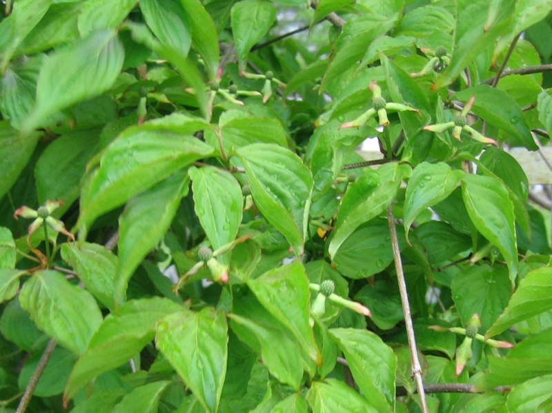 f:id:atarou:20110605064636j:image