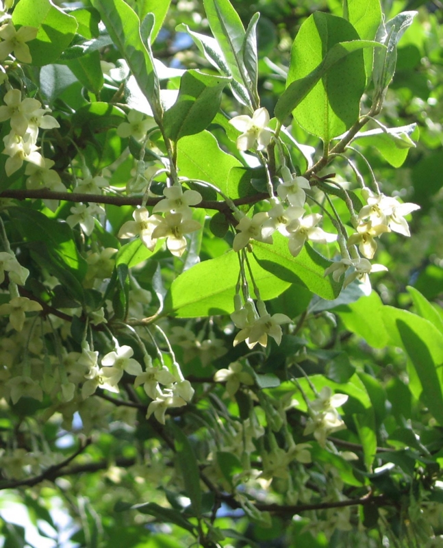 f:id:atarou:20110605192359j:image