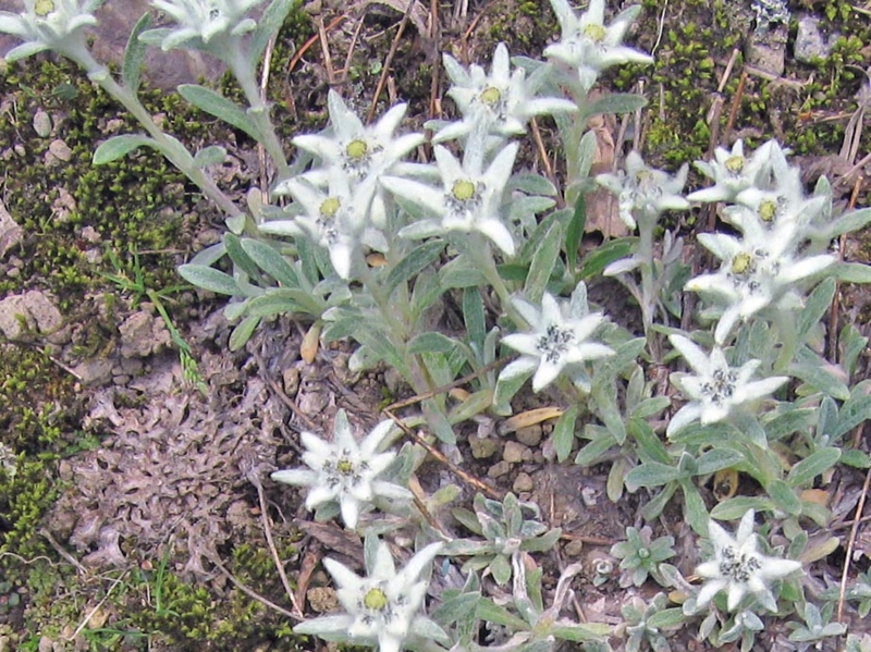f:id:atarou:20110605193642j:image