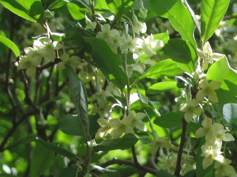 f:id:atarou:20110606061310j:image