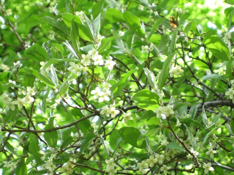 f:id:atarou:20110606061312j:image