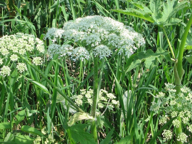 f:id:atarou:20110607061231j:image