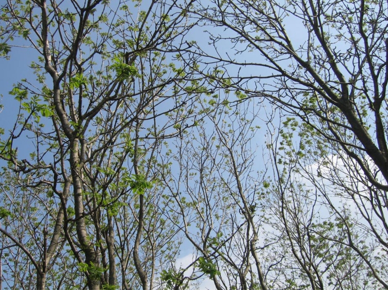f:id:atarou:20110607061235j:image
