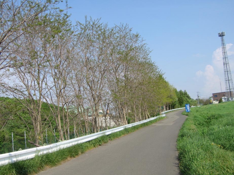 f:id:atarou:20110607062522j:image