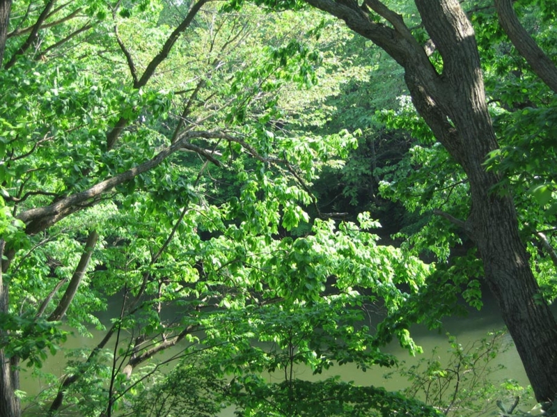 f:id:atarou:20110609064949j:image