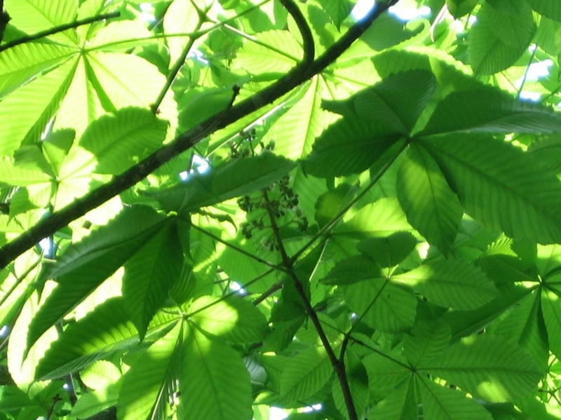 f:id:atarou:20110609064950j:image