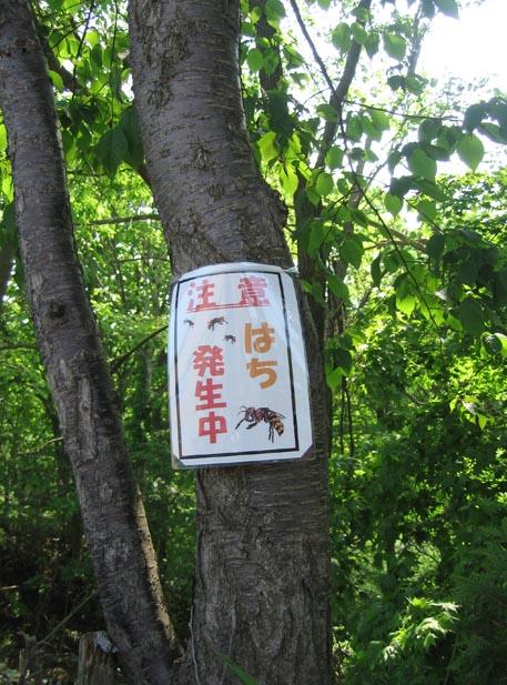 f:id:atarou:20110609064951j:image