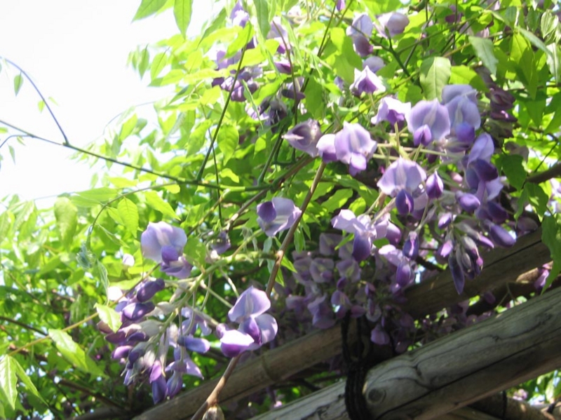 f:id:atarou:20110609065532j:image