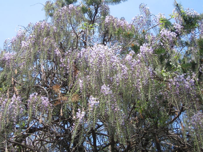 f:id:atarou:20110609065533j:image