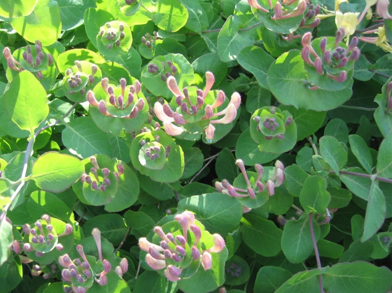 f:id:atarou:20110609070910j:image