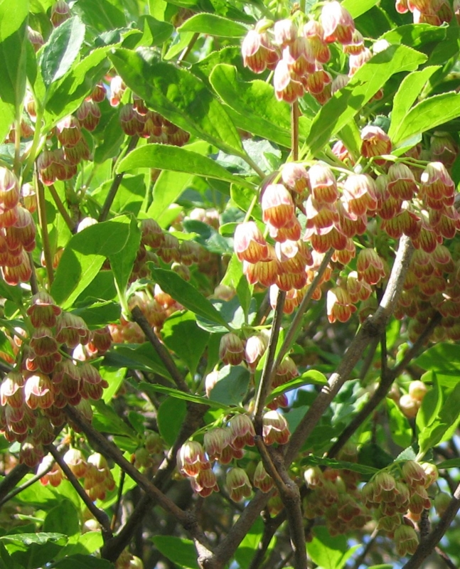 f:id:atarou:20110610180959j:image