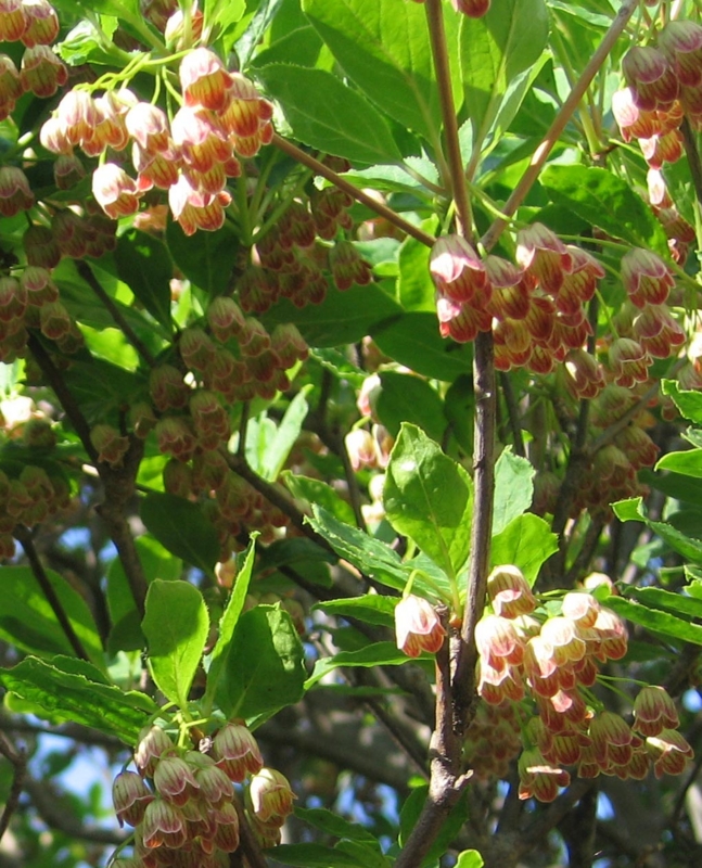 f:id:atarou:20110610202326j:image
