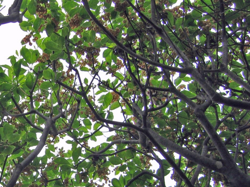 f:id:atarou:20110610202328j:image