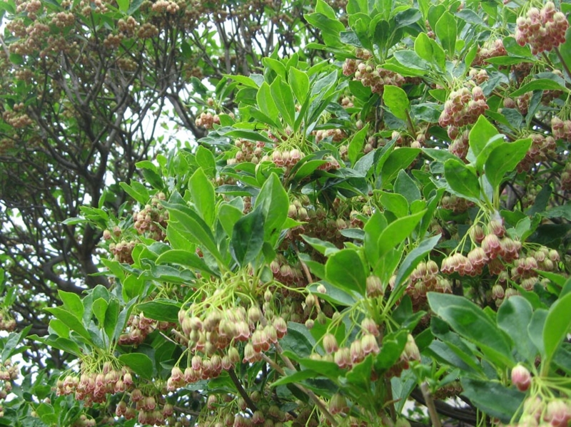 f:id:atarou:20110611062715j:image