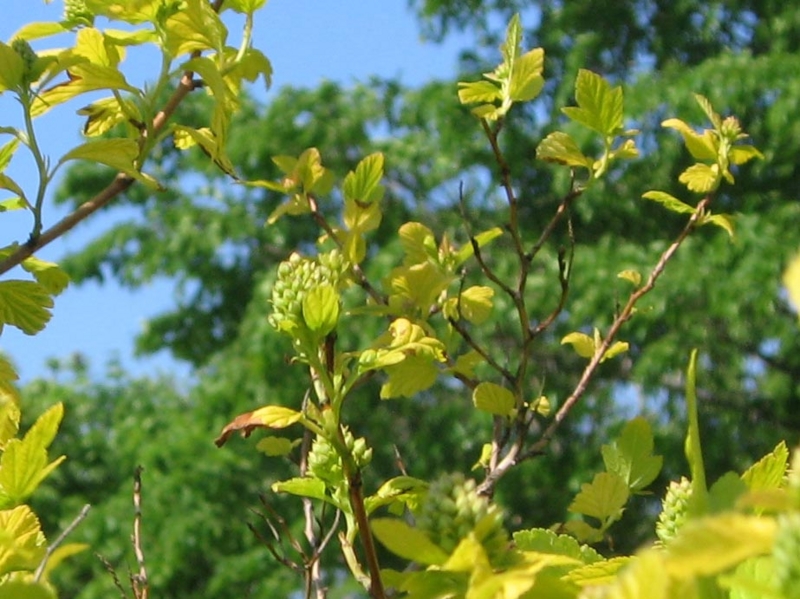 f:id:atarou:20110618061250j:image