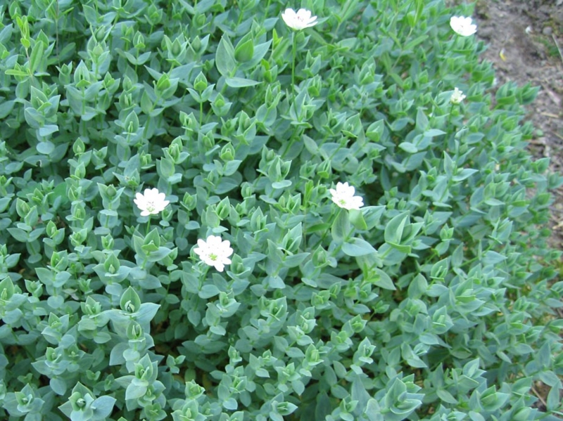 f:id:atarou:20110618163124j:image