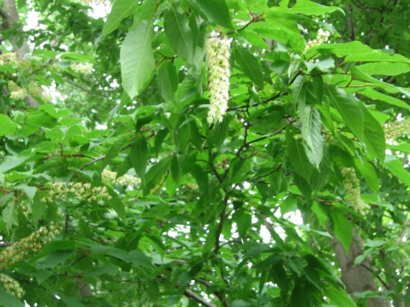 f:id:atarou:20110619063802j:image