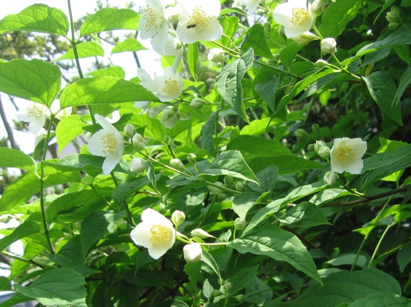 f:id:atarou:20110621170602j:image f:id:atarou:20110621170602j:image