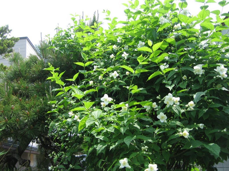 f:id:atarou:20110621170603j:image f:id:atarou:20110621170603j:image