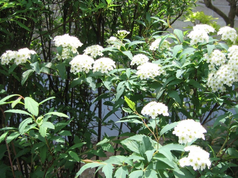 f:id:atarou:20110621171122j:image f:id:atarou:20110621171122j:image
