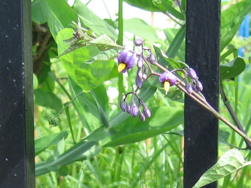 f:id:atarou:20110622061207j:image f:id:atarou:20110622061207j:image