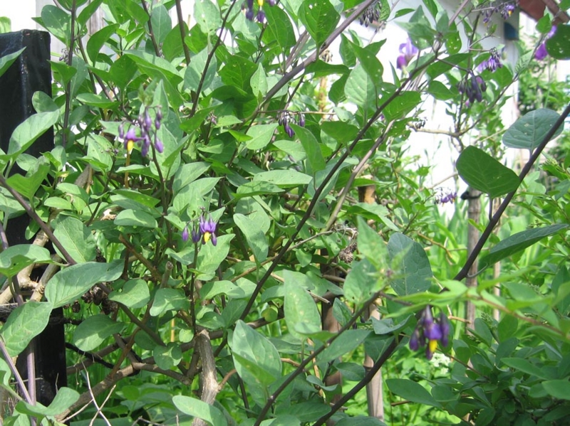 f:id:atarou:20110622061208j:image f:id:atarou:20110622061208j:image