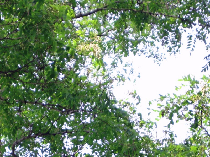 f:id:atarou:20110622061724j:image f:id:atarou:20110622061724j:image