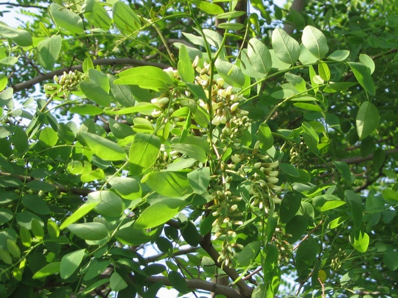 f:id:atarou:20110622062519j:image f:id:atarou:20110622062519j:image
