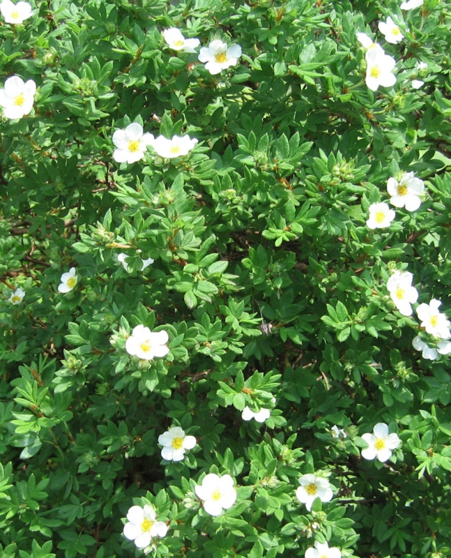 f:id:atarou:20110625212410j:image