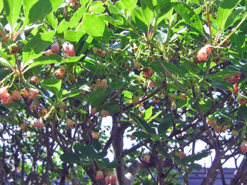 f:id:atarou:20110625214146j:image