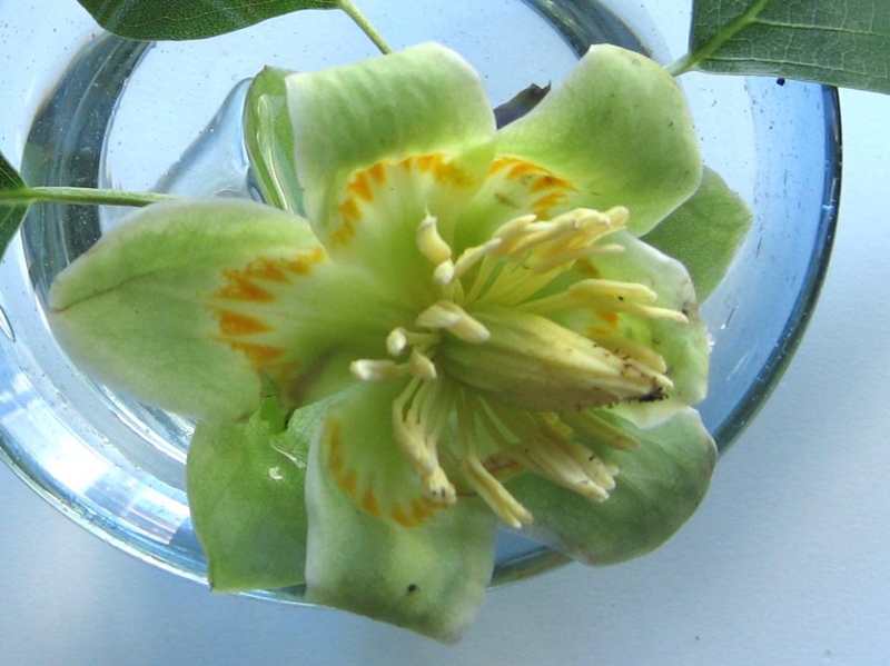 f:id:atarou:20110625215028j:image