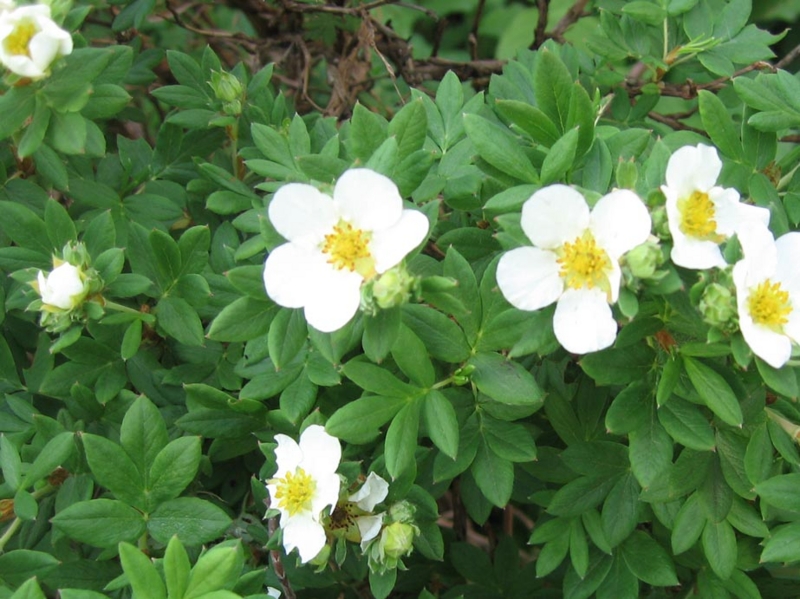 f:id:atarou:20110626072352j:image