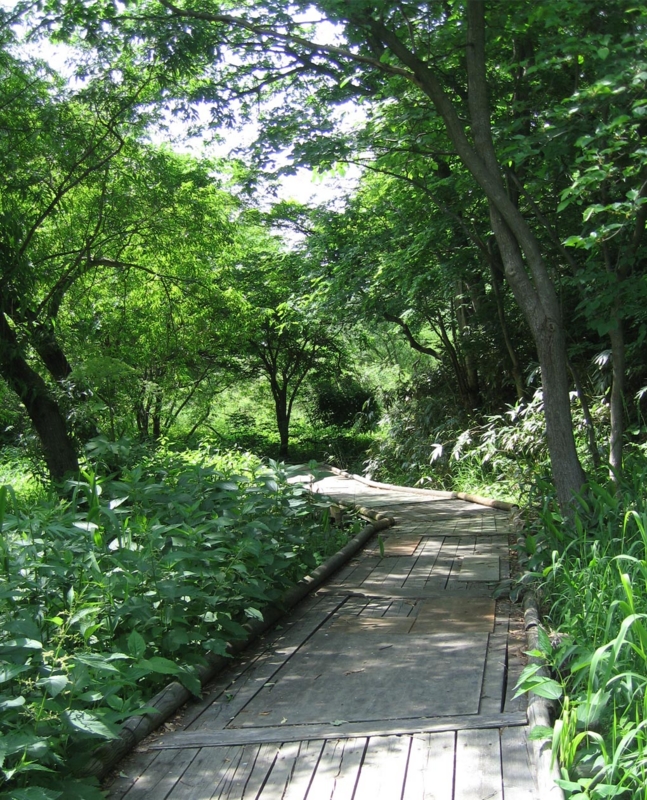 f:id:atarou:20110627165556j:image
