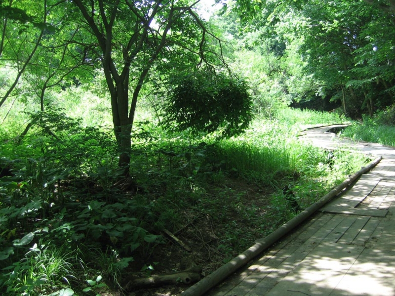 f:id:atarou:20110627171021j:image