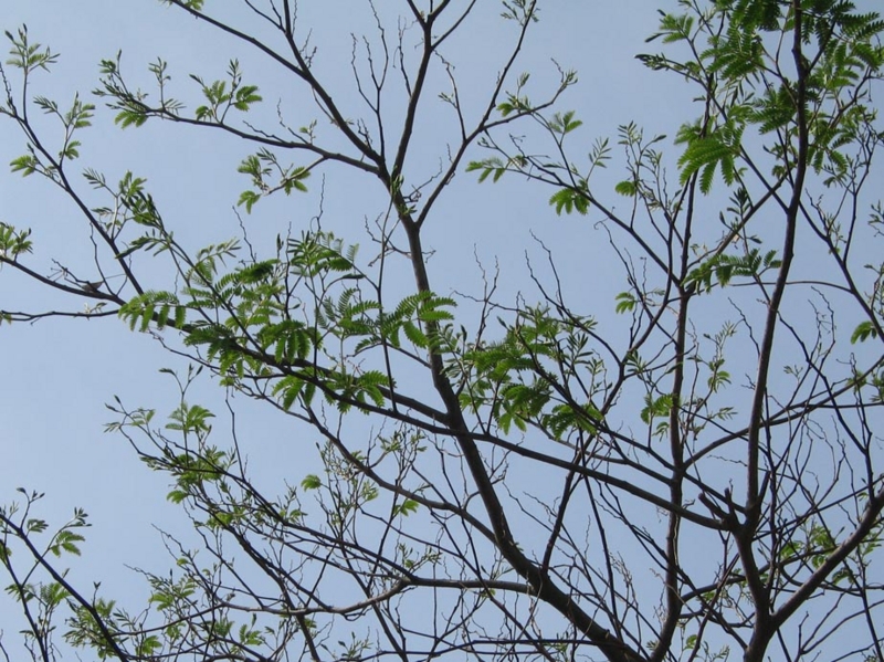 f:id:atarou:20110627172811j:image