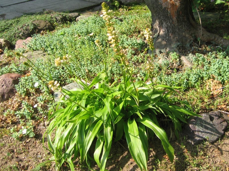 f:id:atarou:20110628065219j:image