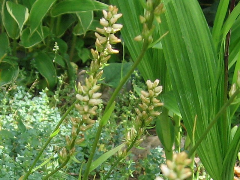 f:id:atarou:20110628065914j:image